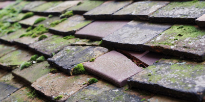 Blackmore End roof repair costs